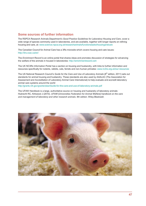 Ethical Review January 2015 - Issue 1