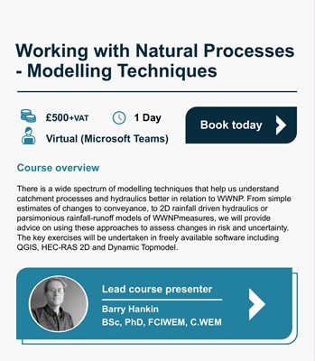 Working with Natural Processes - Modelling Techniques
