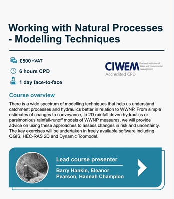 Working with Natural Processes - Modelling Techniques