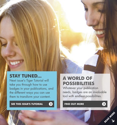 PageTiger for Learning (2)