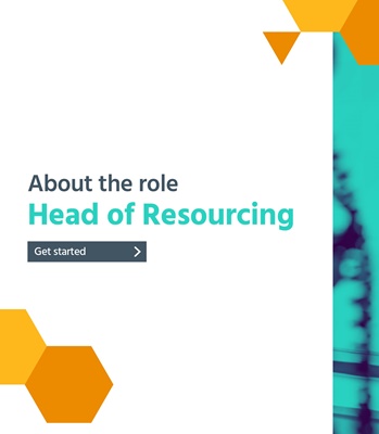 About The Role