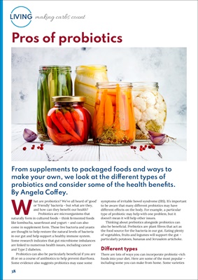 Desang Diabetes Magazine, Making Carbs Count, carbohydrate counting for diabetes