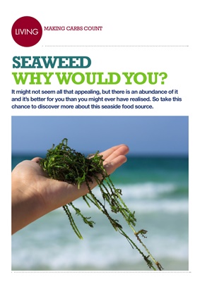 Making Carbs Count seaweed