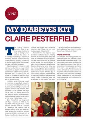 My diabetes kit Claire Pesterfield