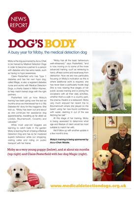 Desang diabetes magazine diabetes news, Medical Detection Dogs