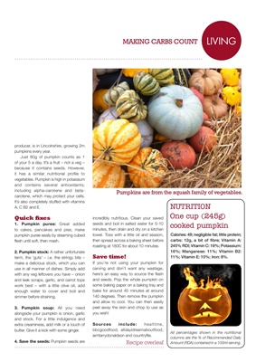 Desang Diabetes Magazine, Making Carbs Count, carbohydrate counting for diabetes