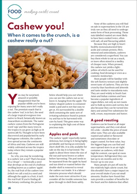 Desang Diabetes Magazine, Making Carbs Count, carbohydrate counting for diabetes