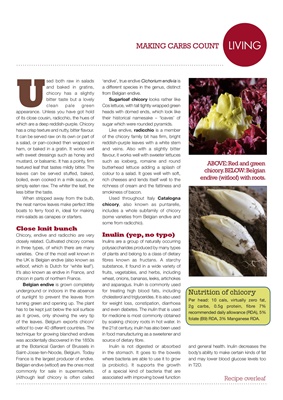 Making Carbs Count, nutrition of chicory, endives, radicchio