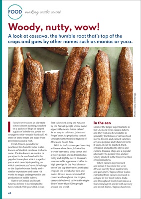 Making Carbs Count, Carbohydrate counting for diabetes, Desang diabetes magazine