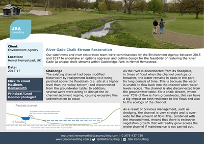 River Gade Chalk Stream Restoration