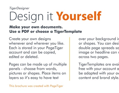 TigerDesigner 1