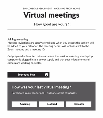 Virtual meetings 2